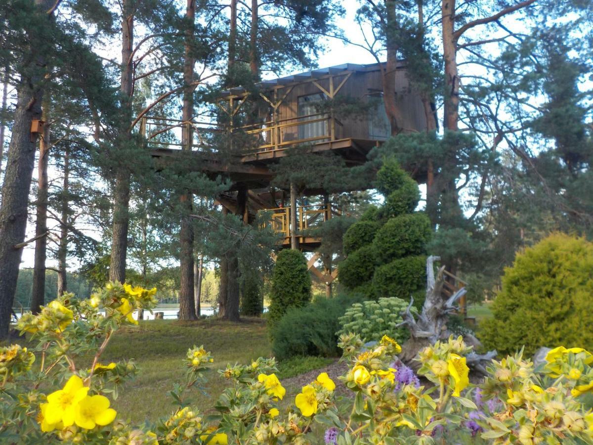 Treehouse Ciekurs Villa Dukuri ภายนอก รูปภาพ